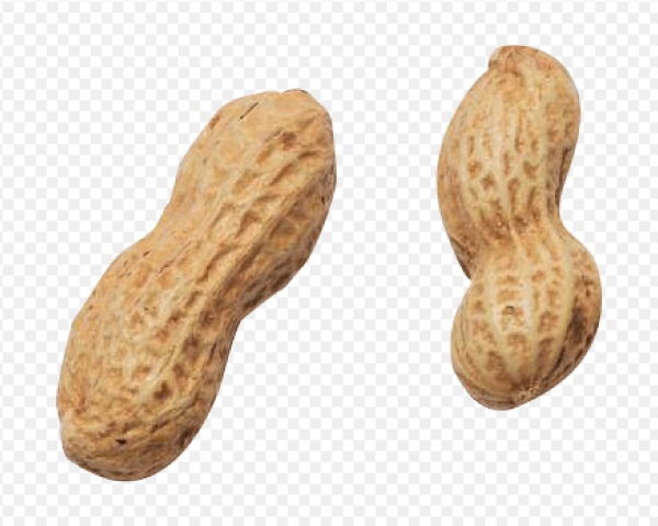 png transparent peanut, peanut butter, free png peanut, healthy