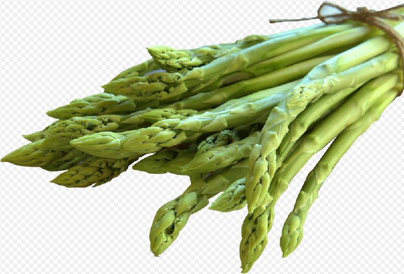 transparent asparagus