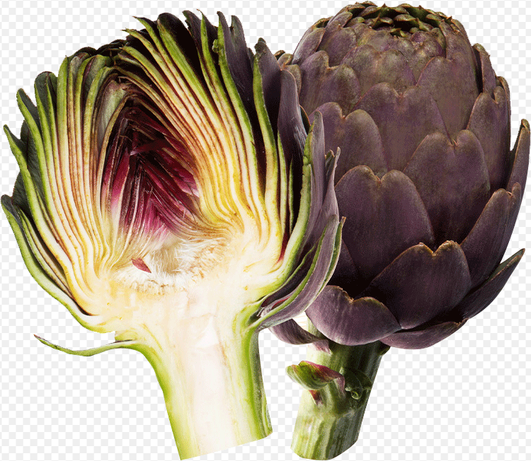 purple-artichoke
