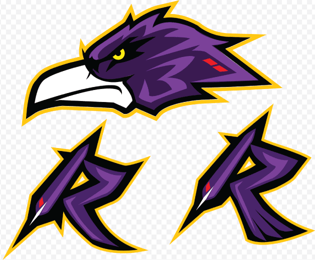 Baltimore Ravens png