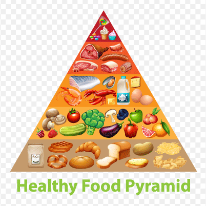 New Food Pyramid 2023